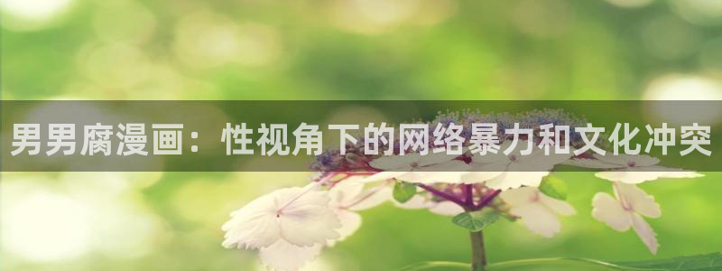 羞羞漫画主页sss：男男腐漫画：性视角下的网络暴力和文化冲突